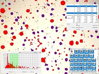 Area ratio of graphite spheroidisation