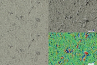 Observation and Measurement after Thermal Spraying Using Digital Microscopes