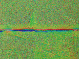 Colour map image (20x)