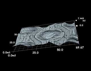 3D shape measurement of plastic packaging