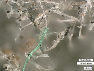 High-magnification observation of fibres (500x)